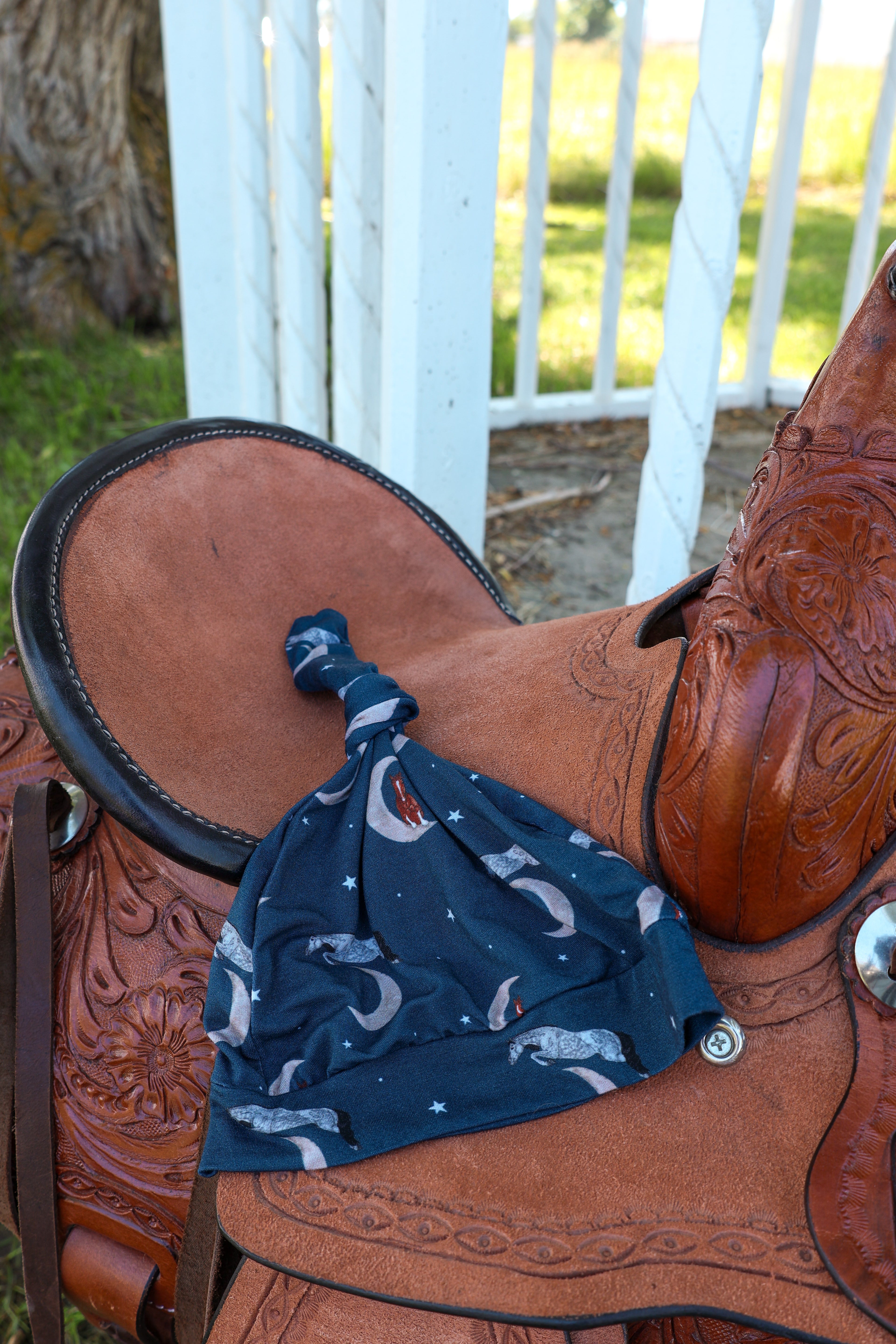 Cowboy Dreams Hat